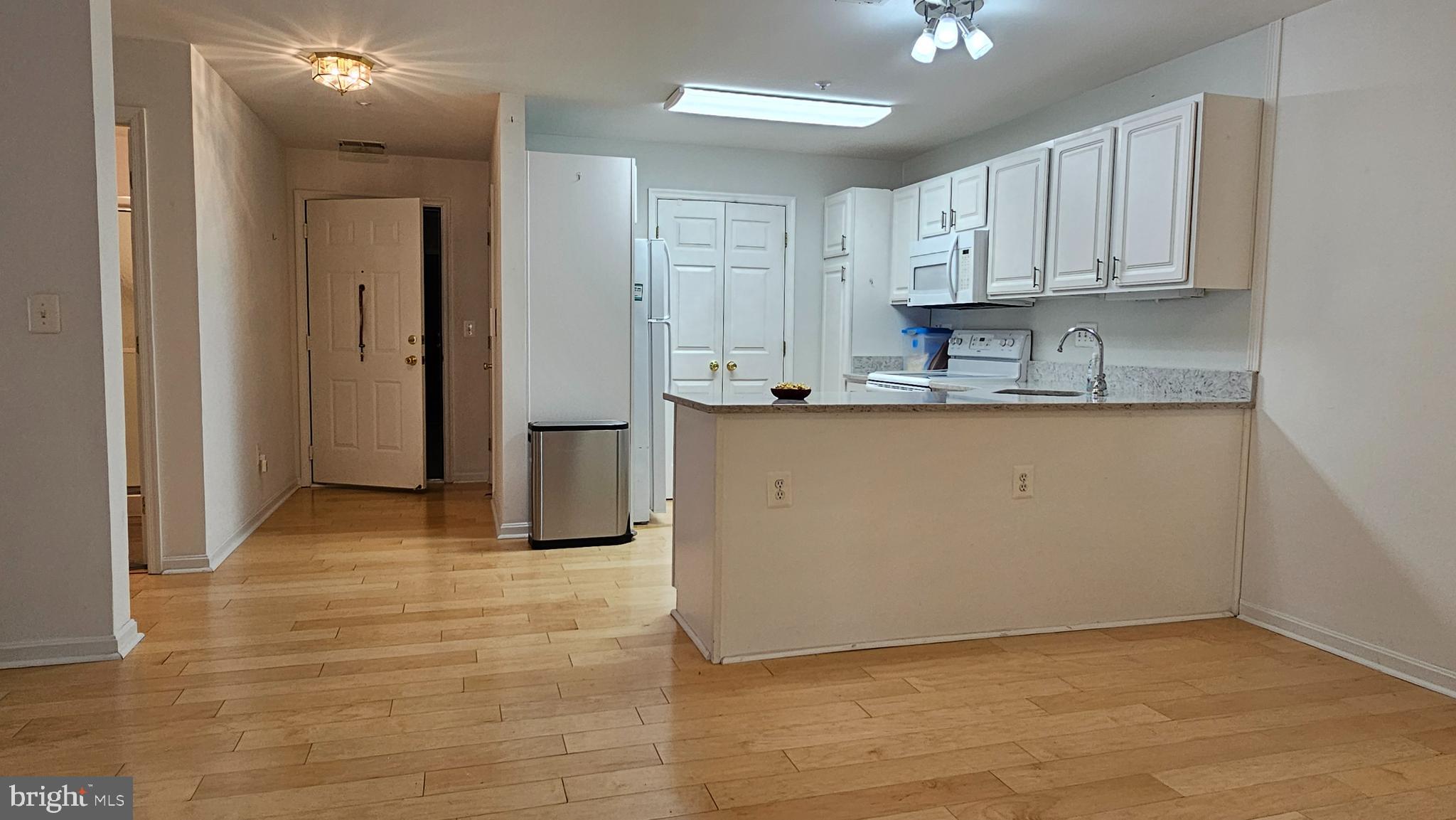2001 Rudy Serra Drive, Unit 1B Sykesville, MD 21784 - Photo 4 of 27 Looking from Dining into Entry Way