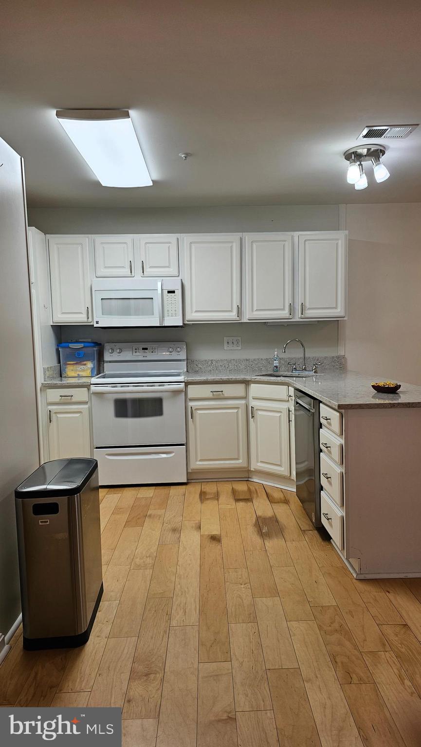 2001 Rudy Serra Drive, Unit 1B Sykesville, MD 21784 - Photo 5 of 27 Ample Kitchen Lighting