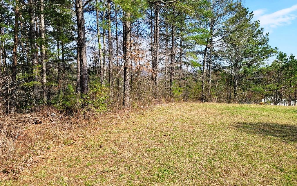 Tbd Sugar Maple Road Murphy, NC 28906 - Photo 1 of 13 Main View