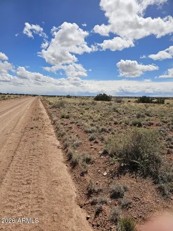 $22,900 | Tbd Tbd Chev Cyn Ranch, Unit 461, Heber, AZ 85928