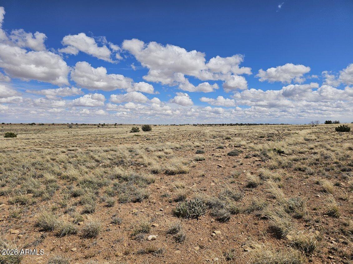 Tbd Tbd Chev Cyn Ranch, Unit 461 Heber, AZ 85928 - Photo 13 of 17 12