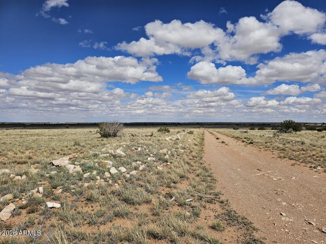 Tbd Tbd Chev Cyn Ranch, Unit 461 Heber, AZ 85928 - Photo 14 of 17 13