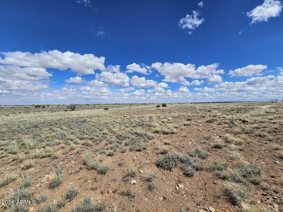 Tbd Tbd Chev Cyn Ranch, Unit 461 Heber, AZ 85928 - Photo 17 of 17 16