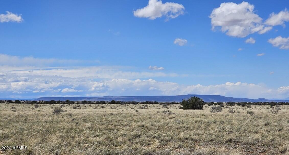 Tbd Tbd Chev Cyn Ranch, Unit 461 Heber, AZ 85928 - Photo 5 of 17 4