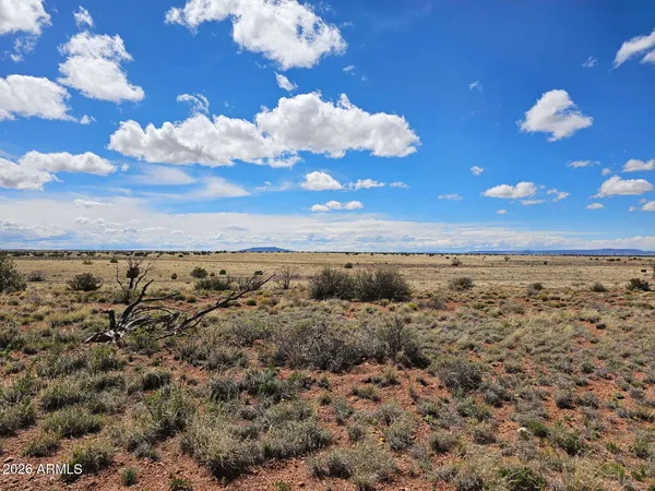 $22,900 | Tbd Tbd Chev Cyn Ranch, Unit 461, Heber, AZ 85928