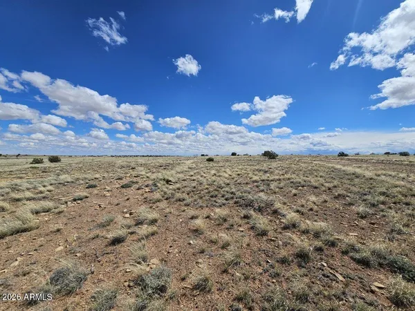 $22,900 | Tbd Tbd Chev Cyn Ranch, Unit 461, Heber, AZ 85928