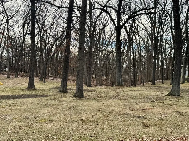 a view of a yard with trees