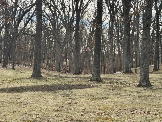 a fire hydrant in the middle of a yard