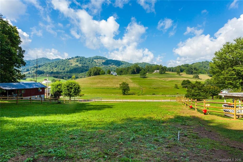 1614 Iron Duff Road Waynesville, NC 28785 - Photo 4 of 23