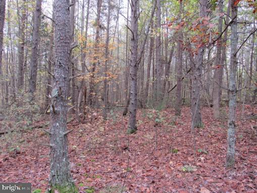 Meadows Road Locust Grove, VA 22508 - Photo 2 of 8