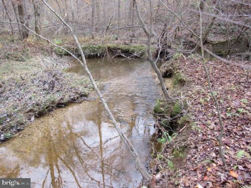 Meadows Road Locust Grove, VA 22508 - Photo 4 of 8