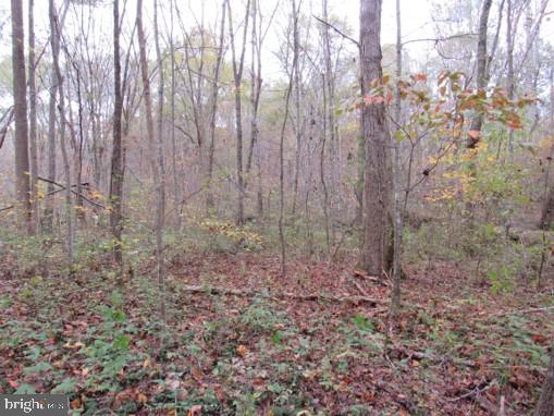 Meadows Road Locust Grove, VA 22508 - Photo 6 of 8