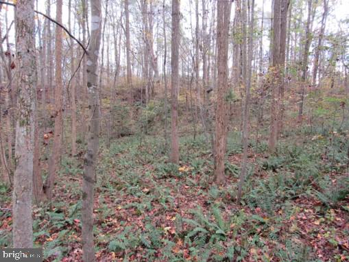 Meadows Road Locust Grove, VA 22508 - Photo 7 of 8
