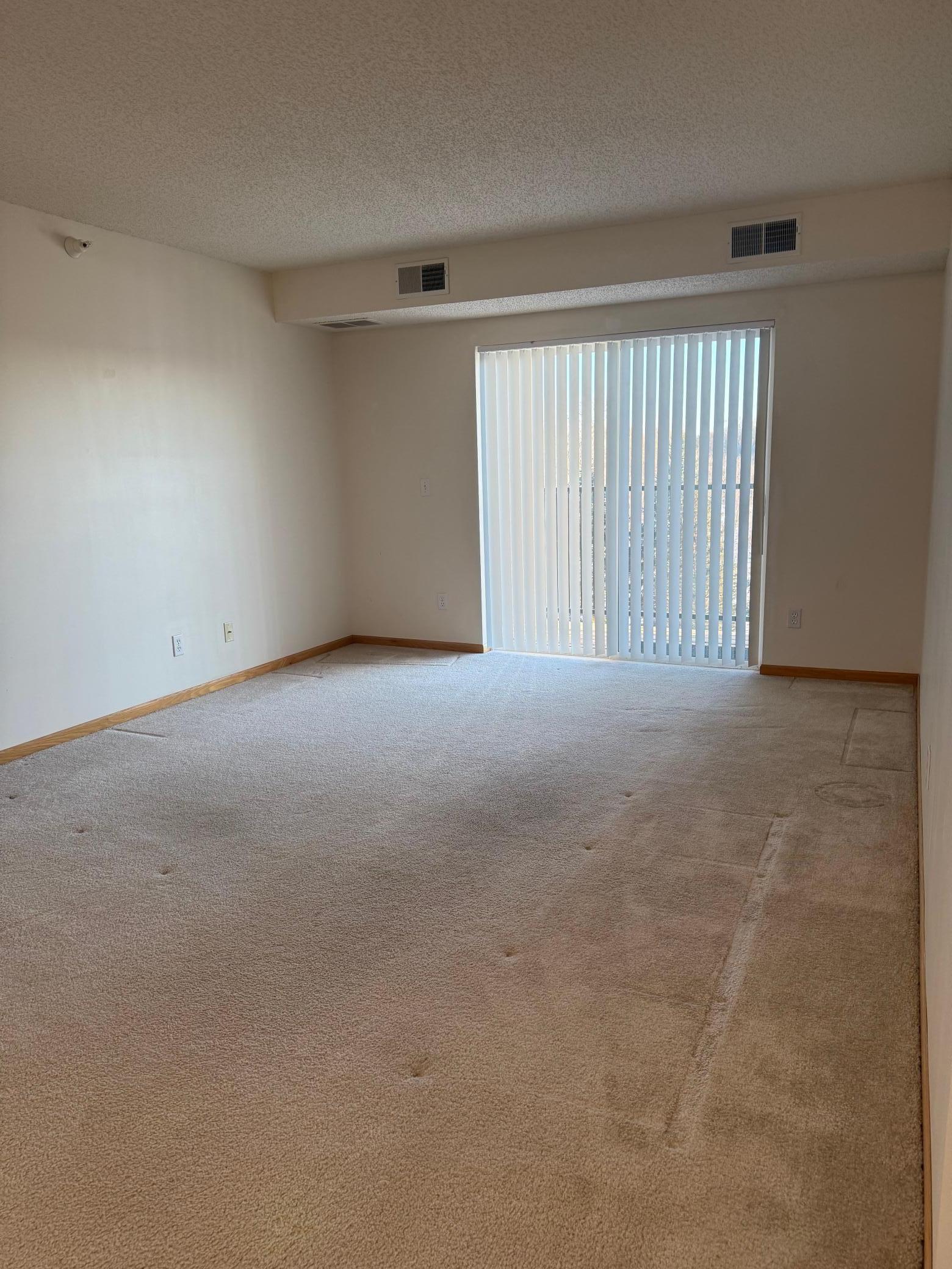 610 Whiskey Road Northwest, Unit 311 Isanti, MN 55040 - Photo 4 of 16