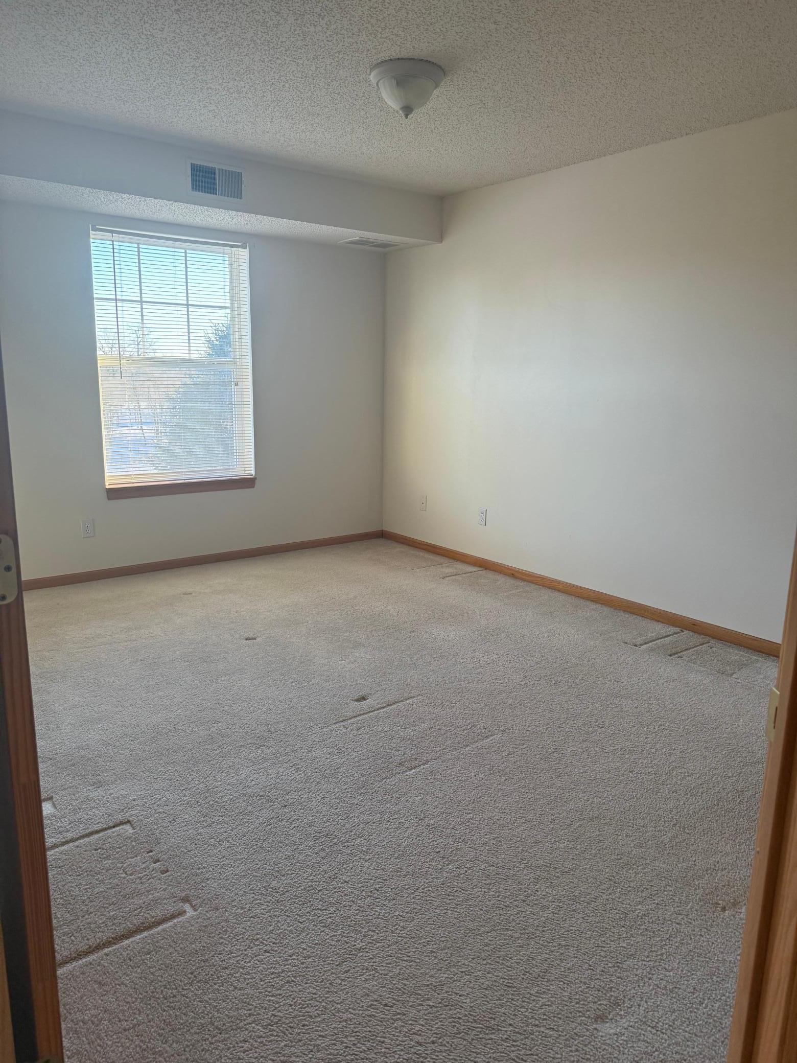 610 Whiskey Road Northwest, Unit 311 Isanti, MN 55040 - Photo 6 of 16