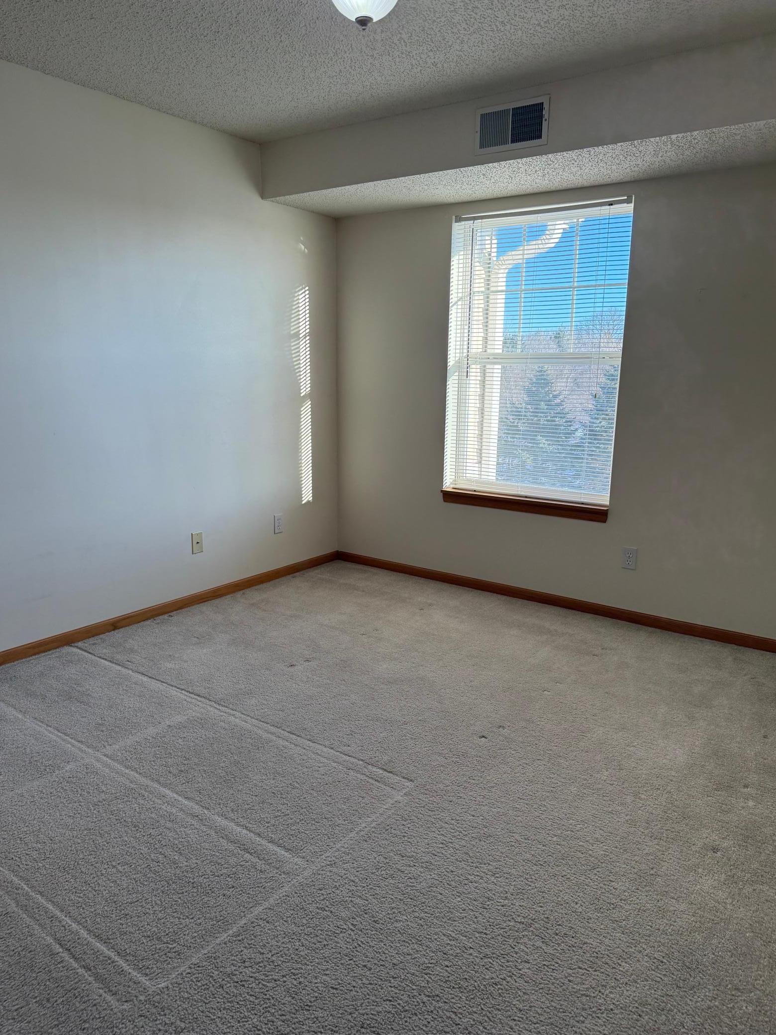 610 Whiskey Road Northwest, Unit 311 Isanti, MN 55040 - Photo 9 of 16