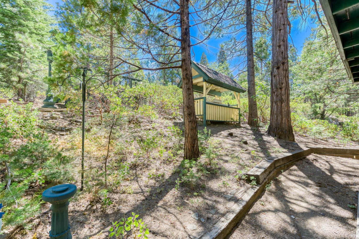 42025 Tollhouse Road Shaver Lake, CA 93664 - Photo 13 of 64 a view of a pathway of a tree