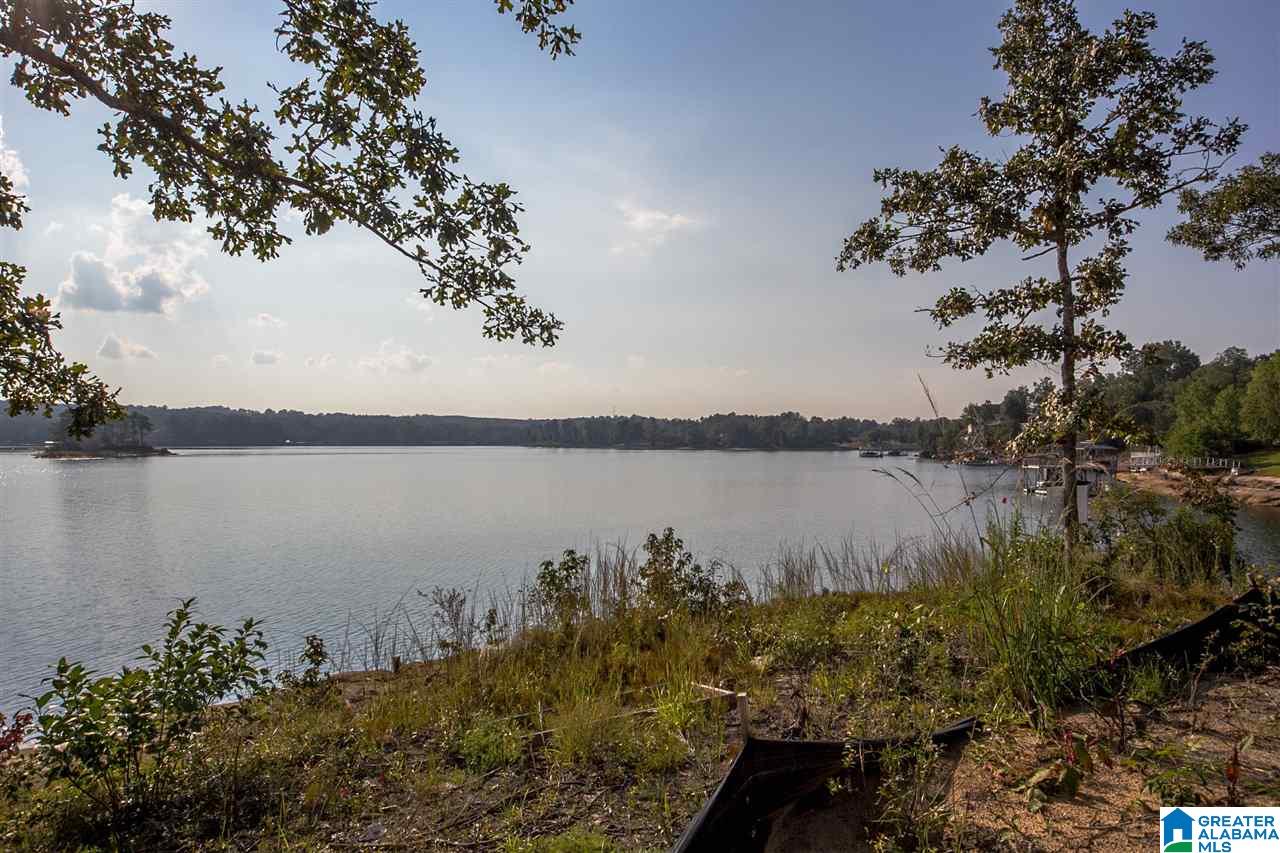 Lot 9 Sunset Drive Arley, AL 35541 - Photo 14 of 26