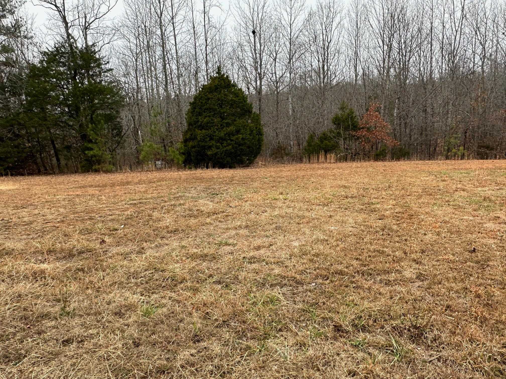 1696 Hardin Graveyard Road Adamsville, TN 38310 - Photo 19 of 25 a view of large yard