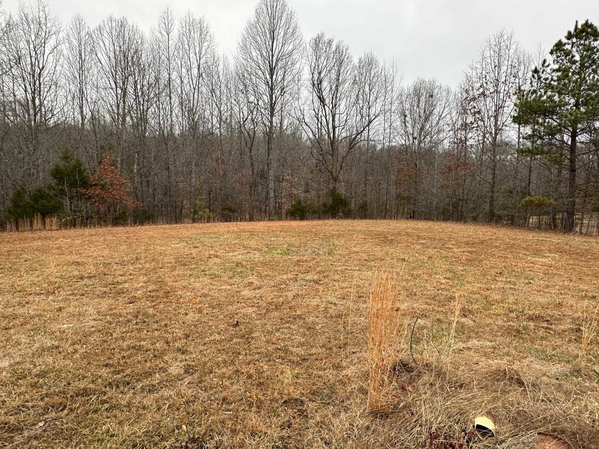 1696 Hardin Graveyard Road Adamsville, TN 38310 - Photo 20 of 25 a white house covered with snow in front of house