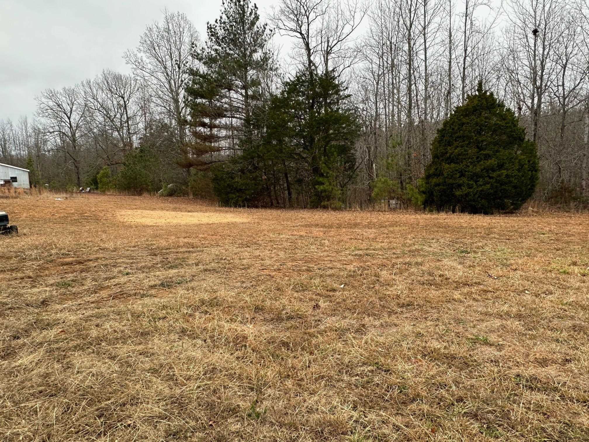 1696 Hardin Graveyard Road Adamsville, TN 38310 - Photo 21 of 25 a view of empty field with trees