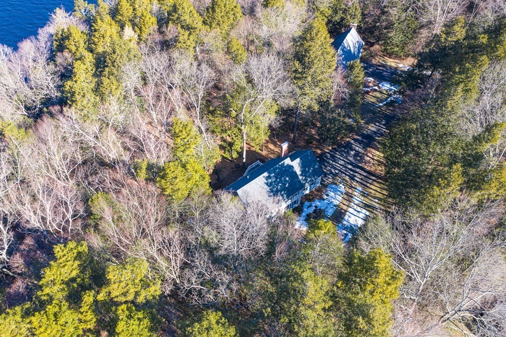 18 Ravens Bluff Andover, MA 01810 - Photo 39 of 41 a picture of flowers