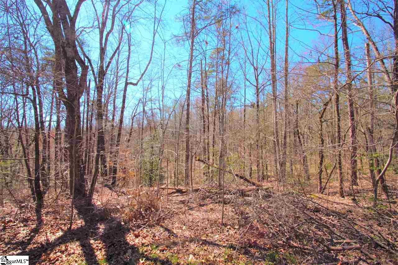 0 U Wharri Road Pickens, SC 29671 - Photo 11 of 26 Gallery Image 11