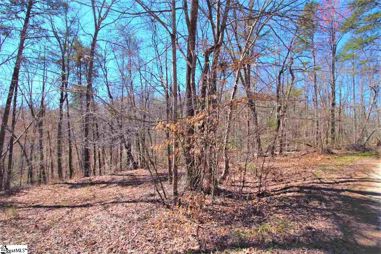 0 U Wharri Road Pickens, SC 29671 - Photo 15 of 26 Gallery Image 15