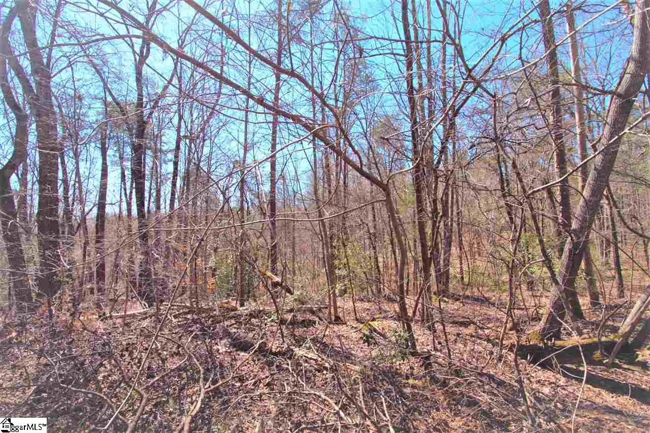 0 U Wharri Road Pickens, SC 29671 - Photo 18 of 26 Gallery Image 18