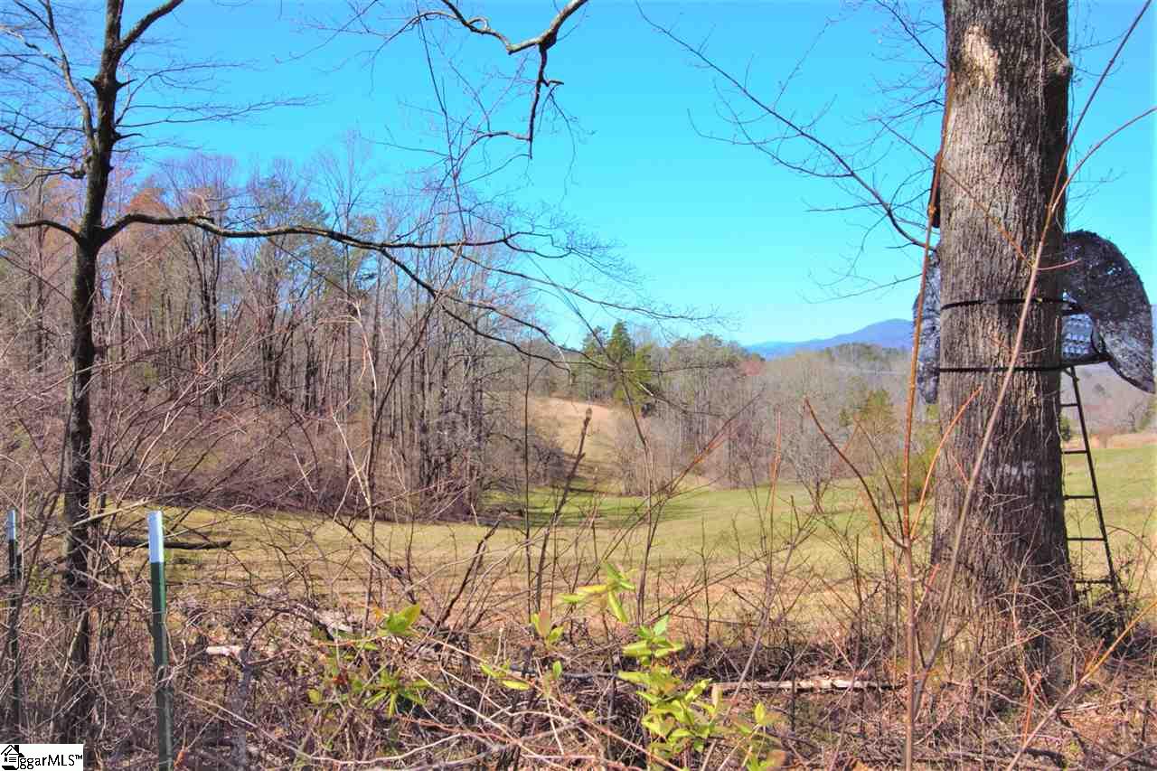 0 U Wharri Road Pickens, SC 29671 - Photo 19 of 26 Gallery Image 19