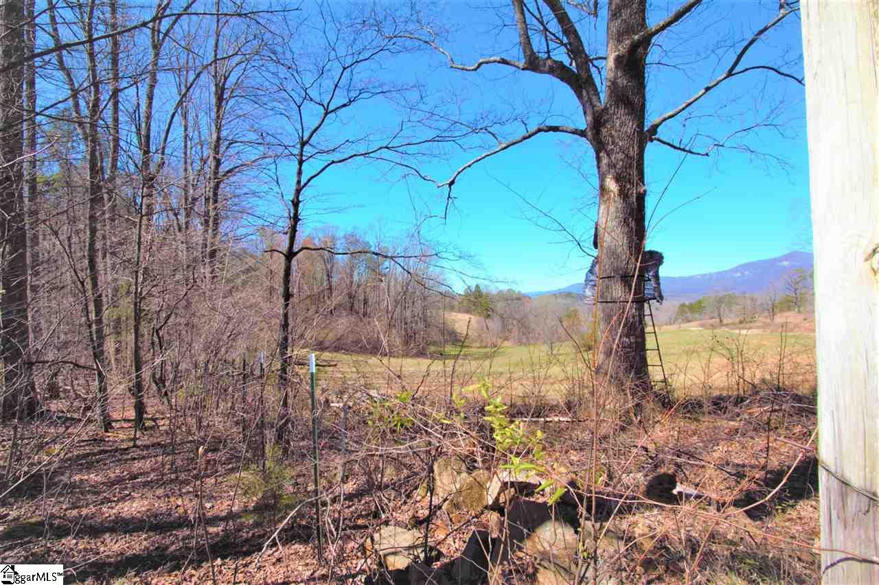 0 U Wharri Road Pickens, SC 29671 - Photo 20 of 26 Gallery Image 20