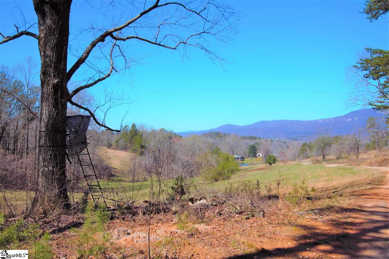 0 U Wharri Road Pickens, SC 29671 - Photo 10 of 26 Gallery Image 10