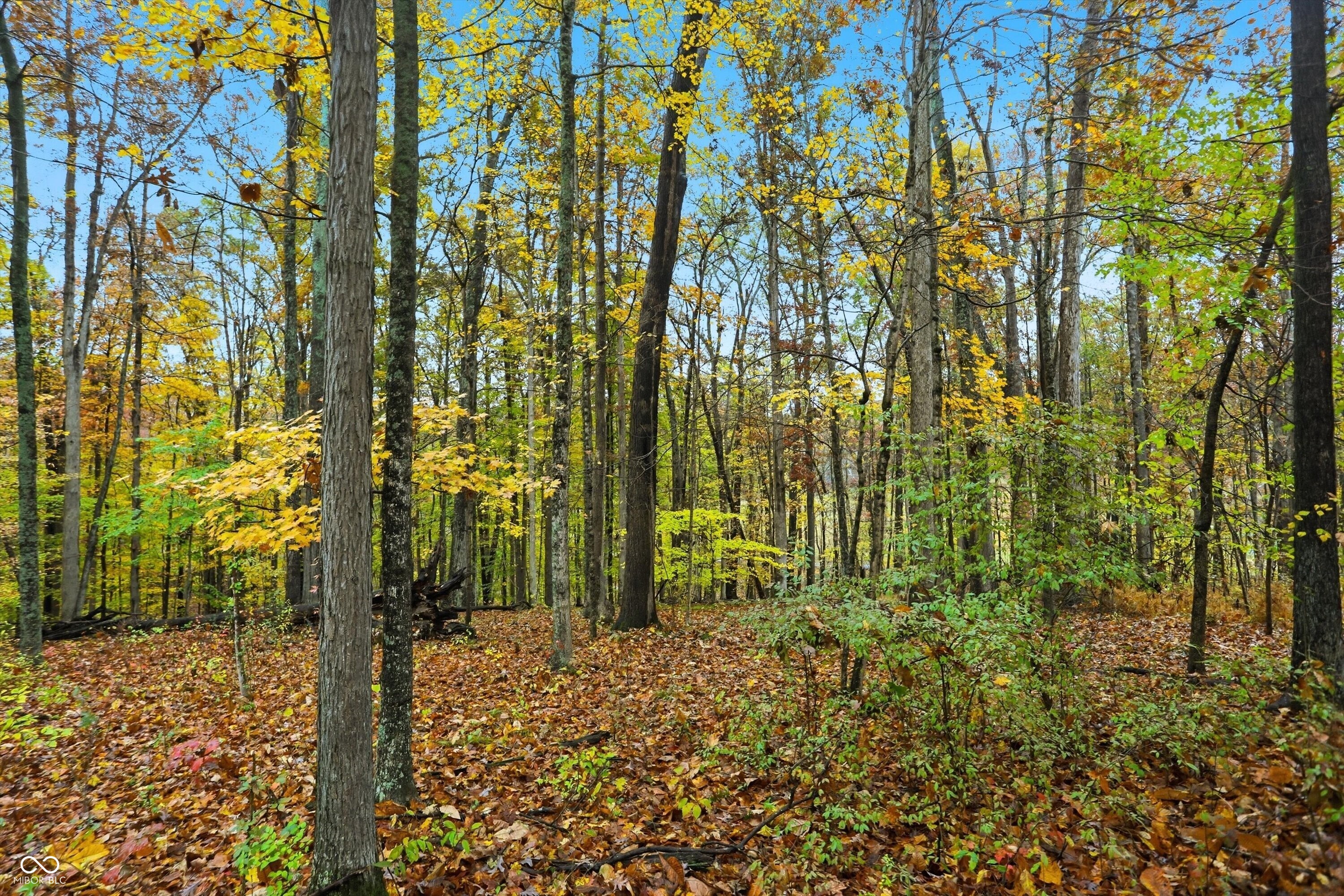 Lot 20 Ridgeway Drive Nashville, IN 47448 - Photo 3 of 22