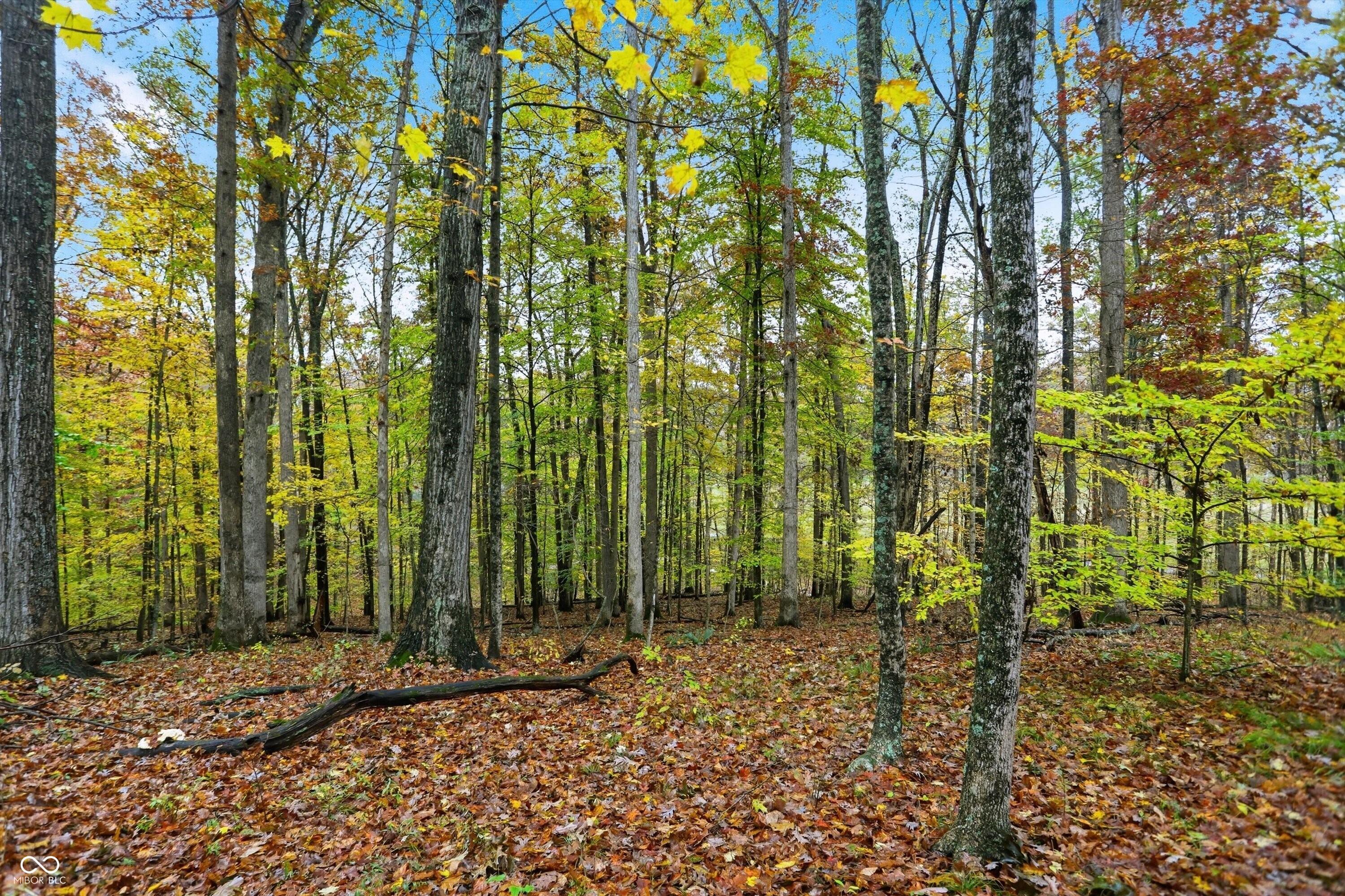 Lot 20 Ridgeway Drive Nashville, IN 47448 - Photo 5 of 22