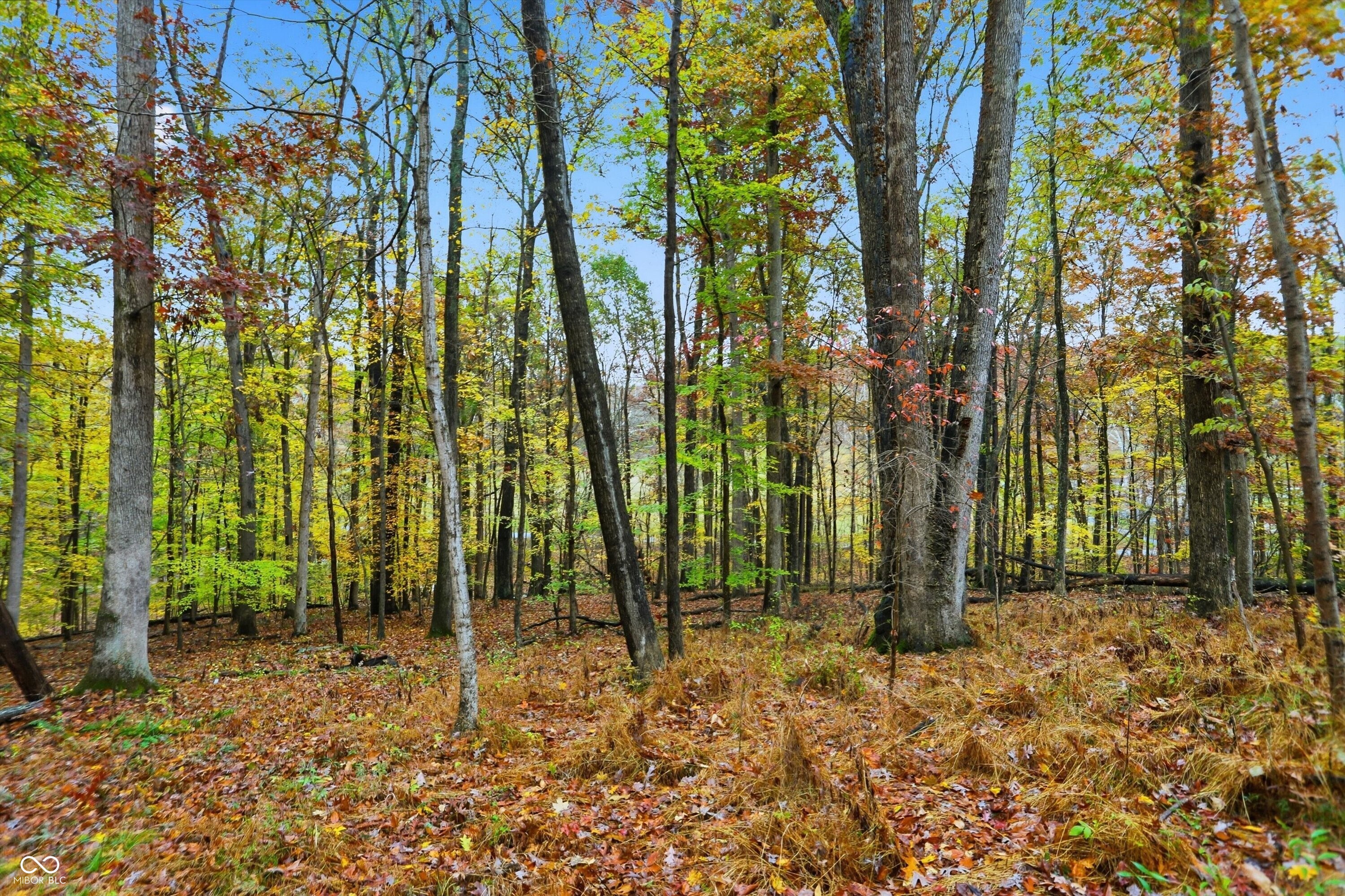 Lot 20 Ridgeway Drive Nashville, IN 47448 - Photo 6 of 22