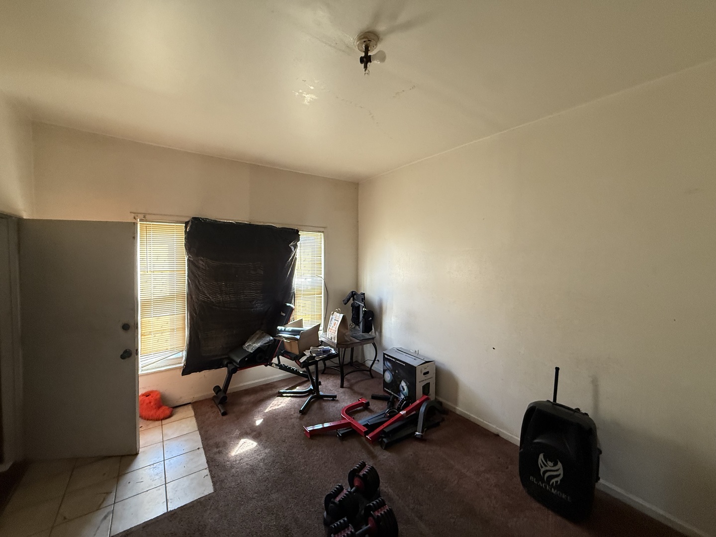 830 North Springfield Avenue Chicago, IL 60651 - Photo 27 of 31 a room with furniture and gym equipment