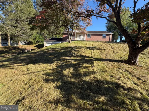 a view of a yard with plants and trees