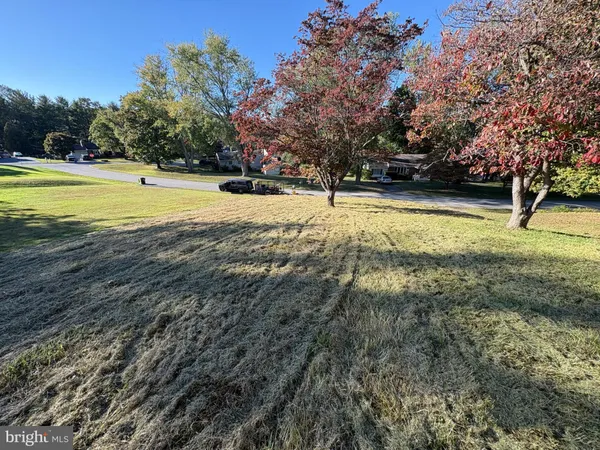 a view of yard with swimming pool and trees