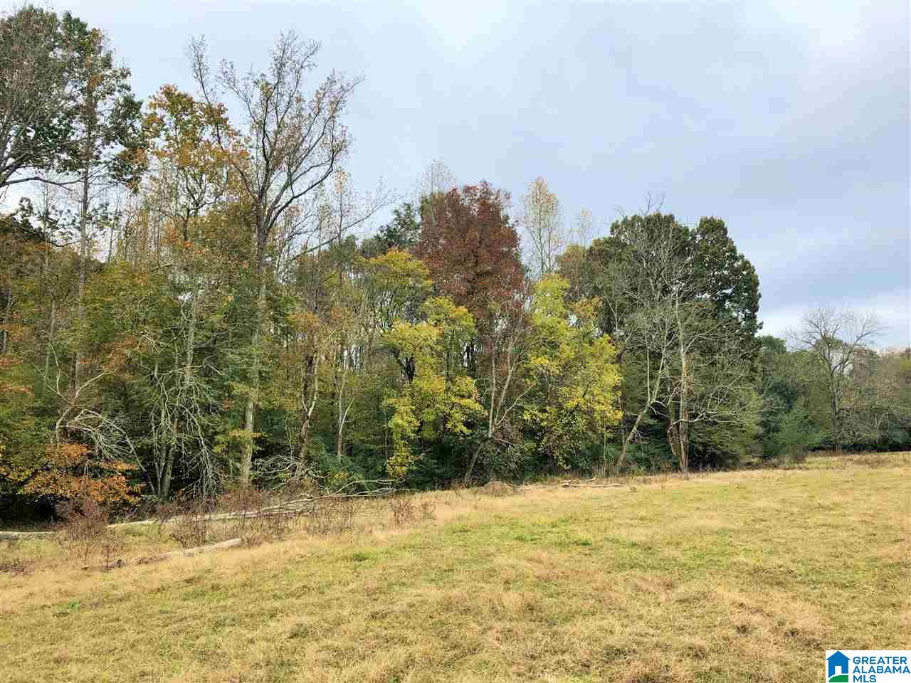 1430 Mineral Springs Road, Unit 1 Pell City, AL 35125 - Photo 20 of 27
