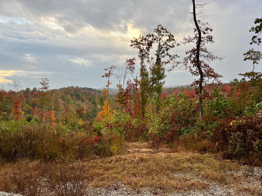7950 Public Road Somerset, KY 42503 - Photo 7 of 29 06