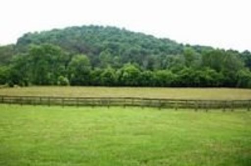 925 County Road 116 Athens, TN 37303 - Photo 11 of 19 Additional Photo
