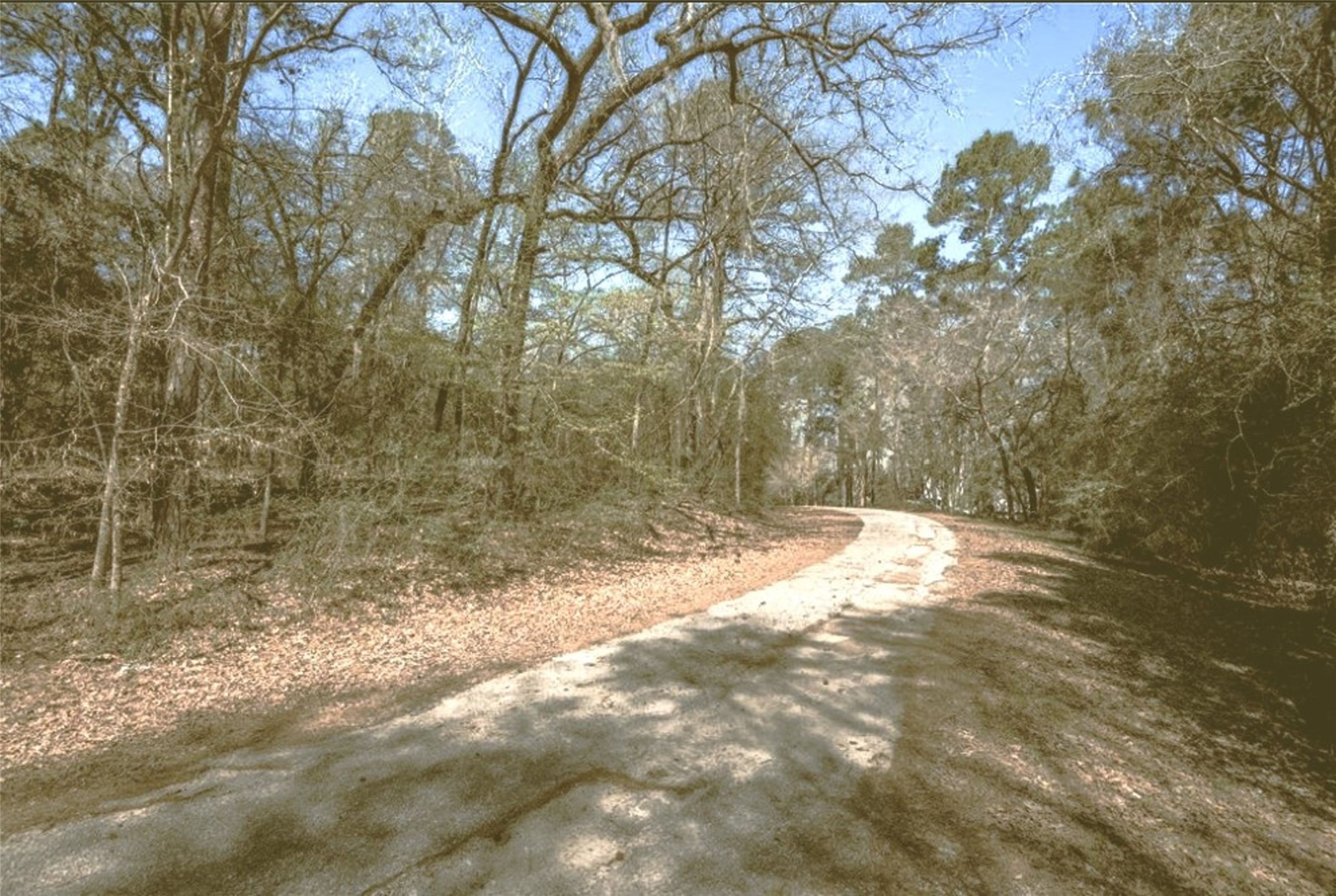 a view of empty room with trees