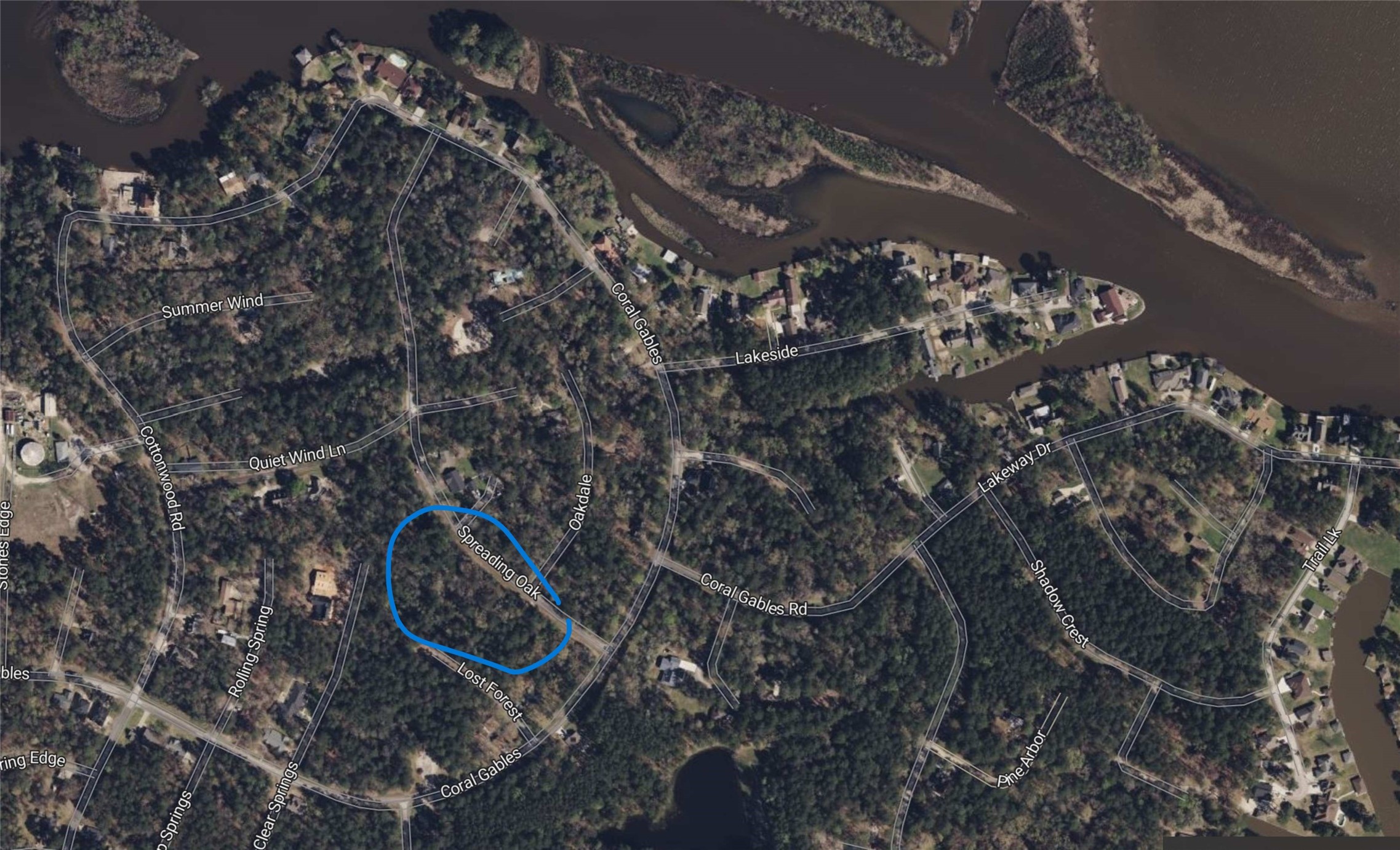 L29 Spreading Oak Trinity, TX 75862 - Photo 6 of 25 a picture of water tree