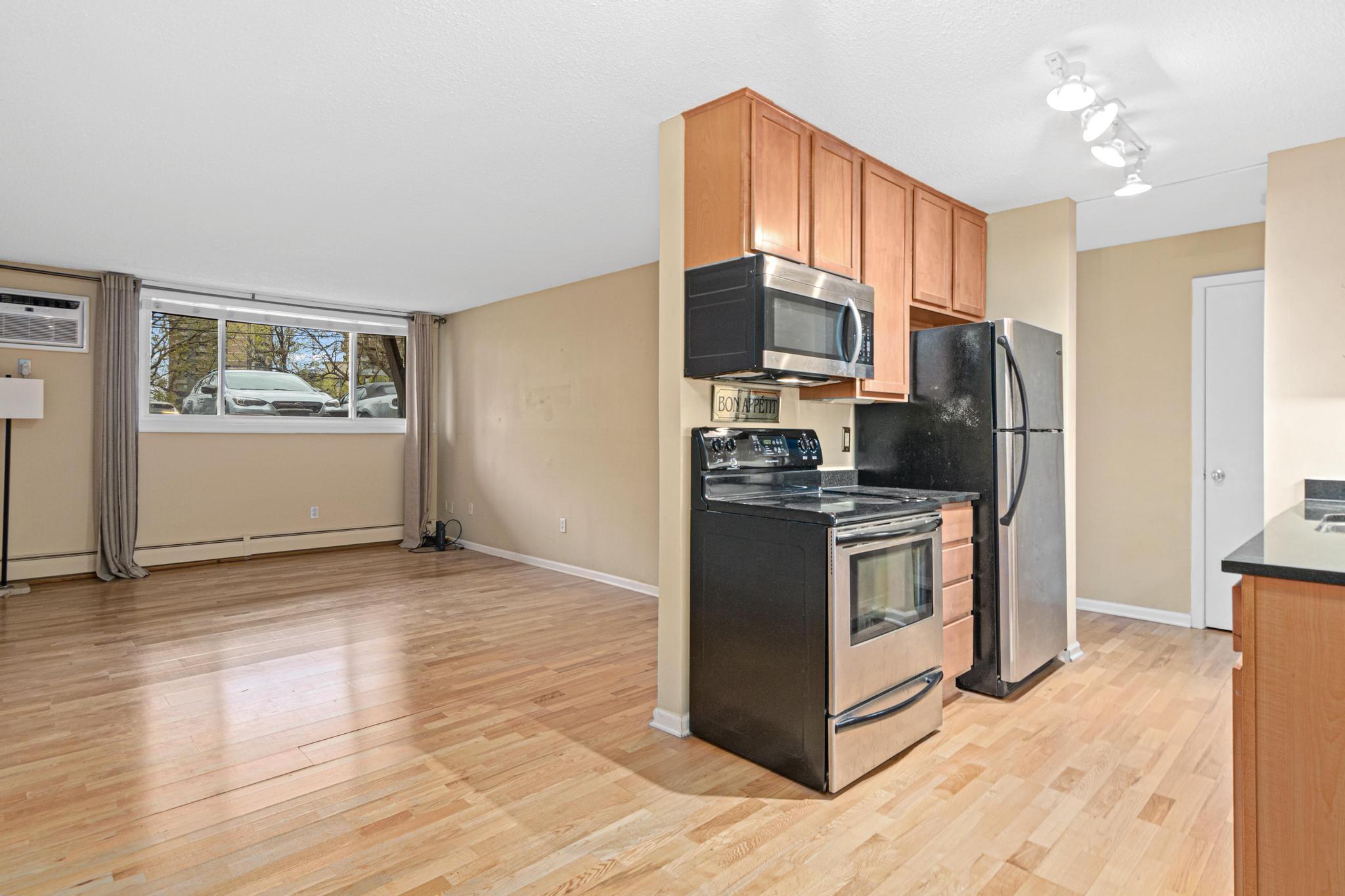 520 Ridgewood Avenue, Unit 3 Minneapolis, MN 55403 - Photo 3 of 15