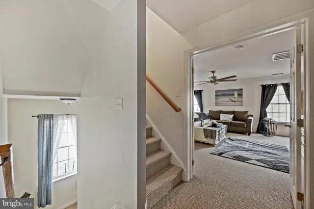 a bathroom with a sink a potted plant and a mirror