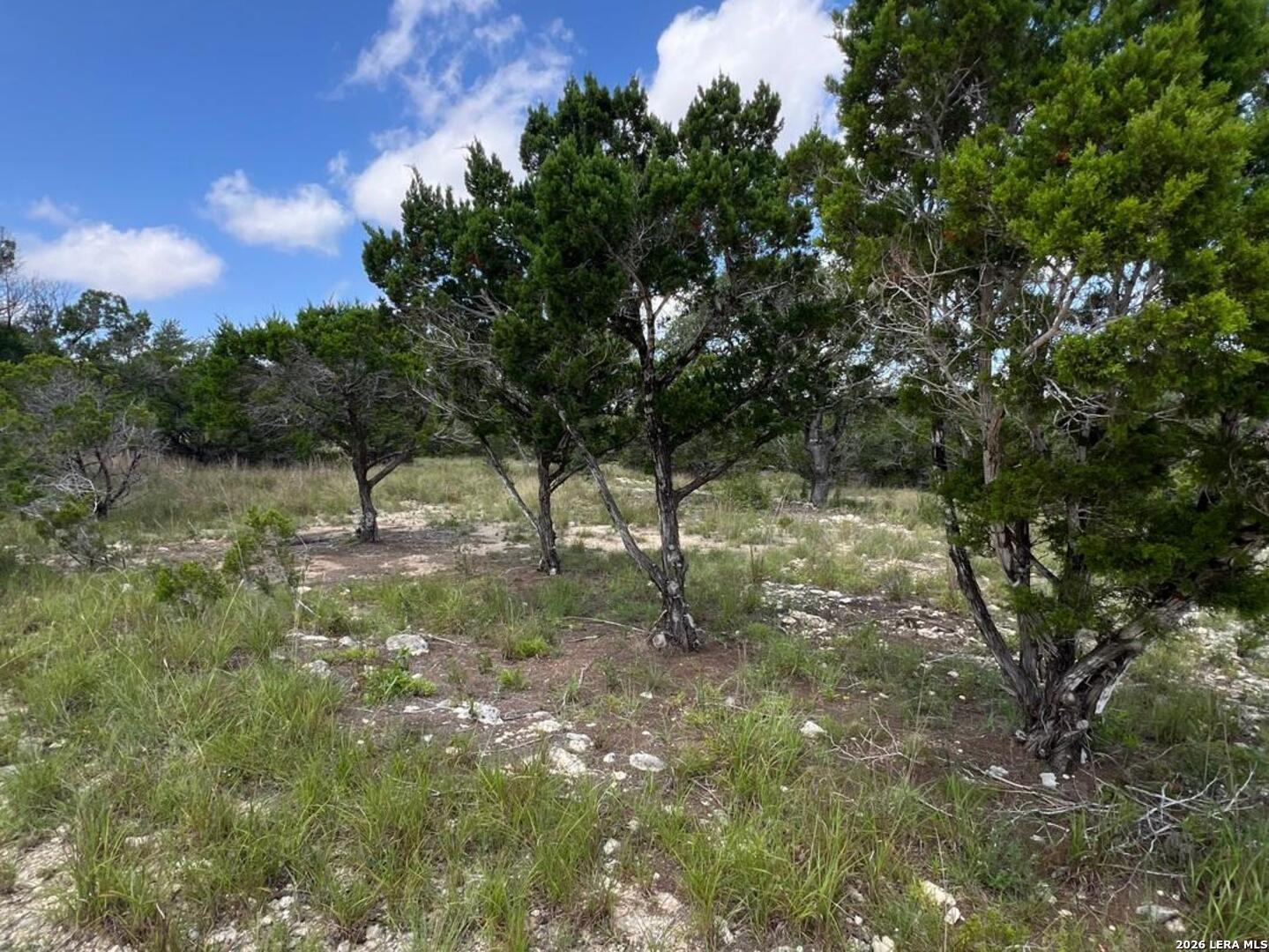 1188 Cliff Drive Spring Branch, TX 78070 - Photo 4 of 11