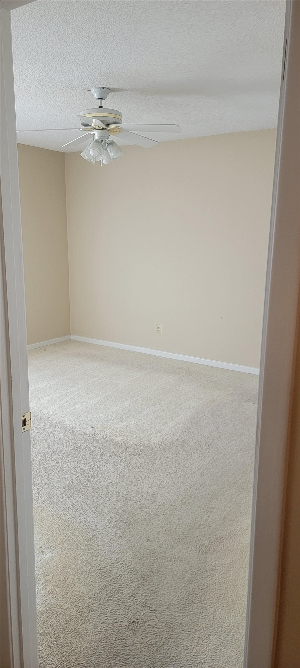 233 Bailey Road Buffalo, SC 29321 - Photo 23 of 25