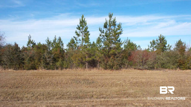8 Highway 182 Jay, FL 32565 - Photo 21 of 27