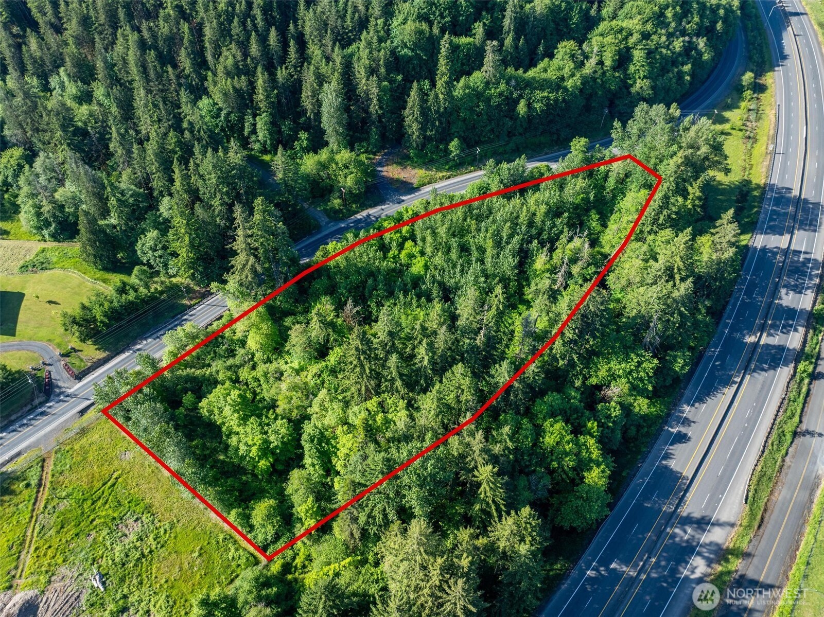 a close up of a plant in a garden