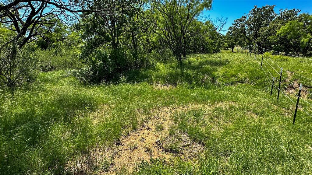 2417 Highway 569 Cisco Tx 76437 Cisco, TX 76437 - Photo 31 of 40